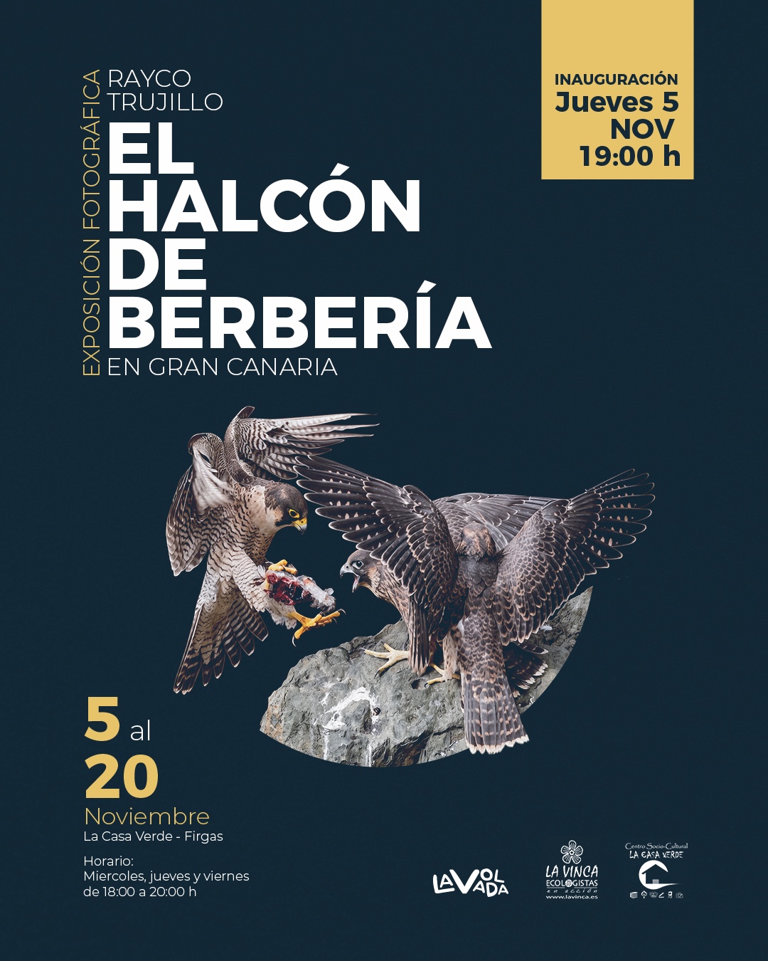 Cartel de la exposición El halcón de Berbería en Gran Canaria, de Rayco Trujillo, en La Casa Verde de Firgas