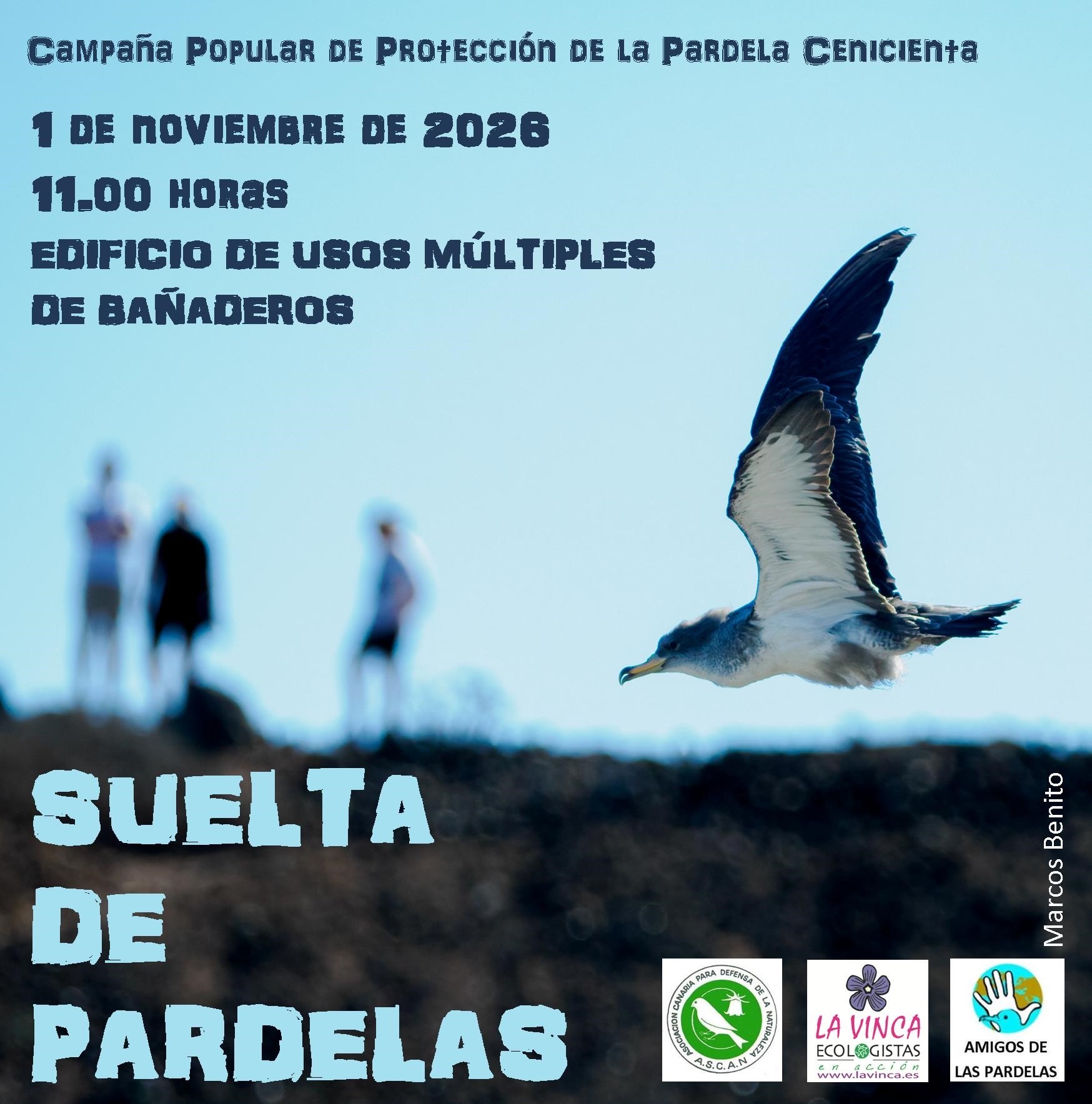 Cartel de la suelta popular de pardelas del 1 de noviembre de 2026 en Bañaderos